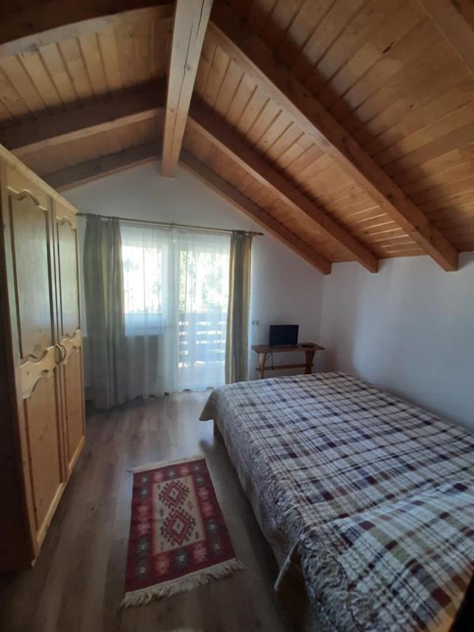 Casuta Pietrosul Rodnei Apartment บอร์ชา ภายนอก รูปภาพ