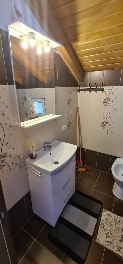 Casuta Pietrosul Rodnei Apartment บอร์ชา ภายนอก รูปภาพ